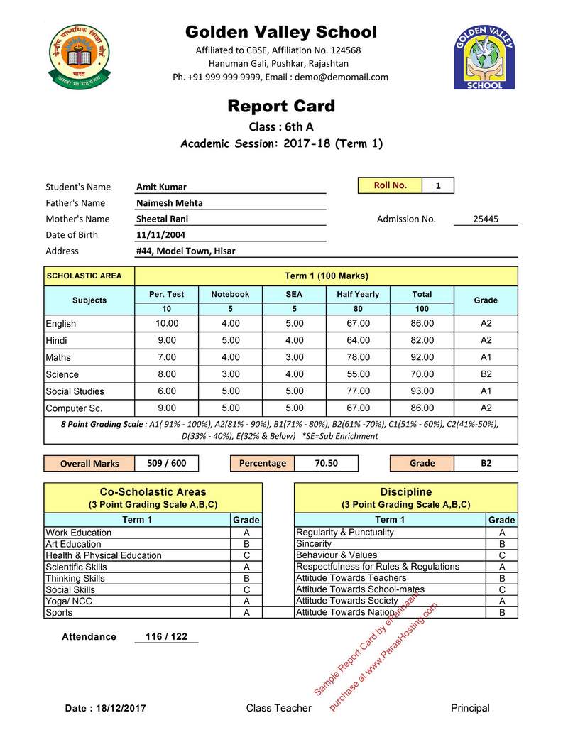 Term 1 Report Card