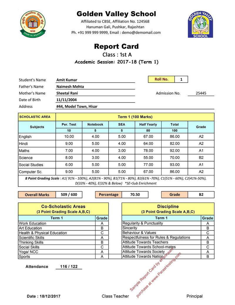 Term 1 Report Card