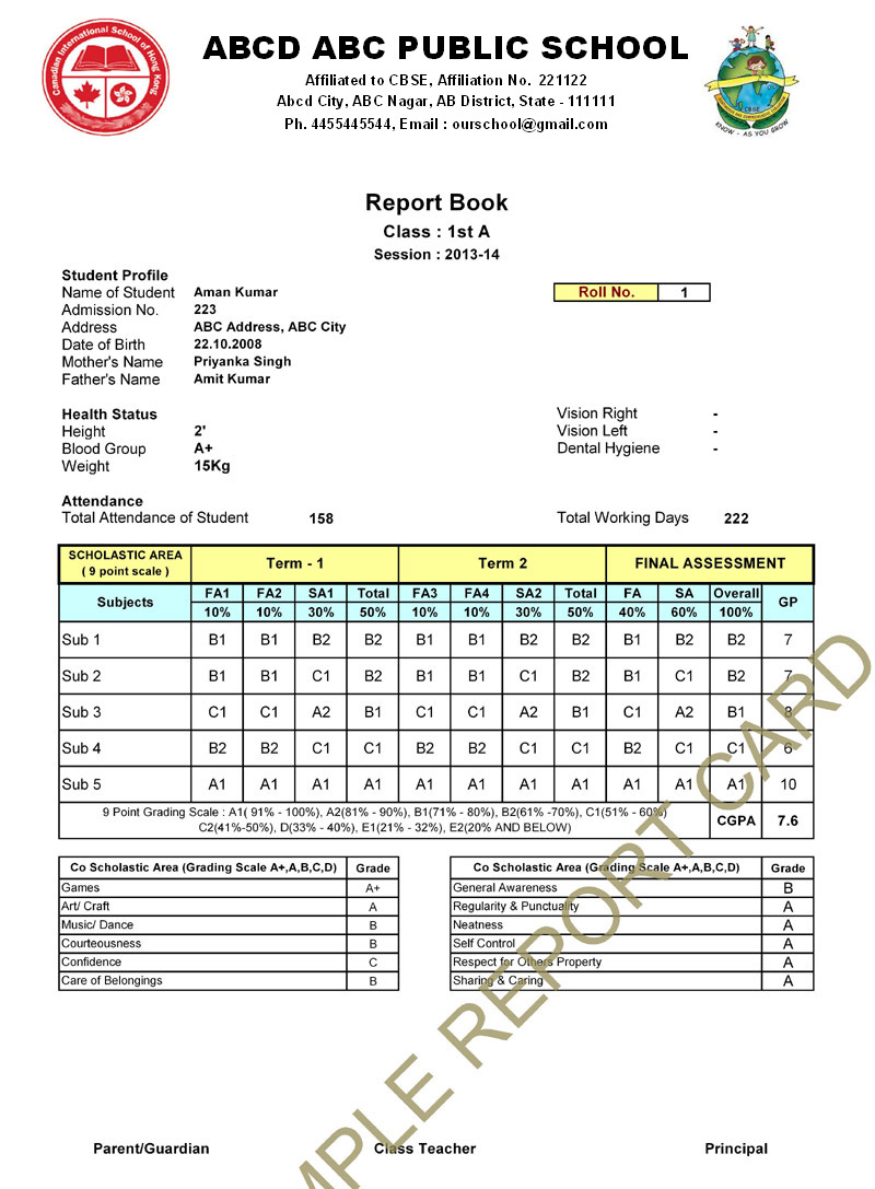 Primary Report Card 2 Term Pattern